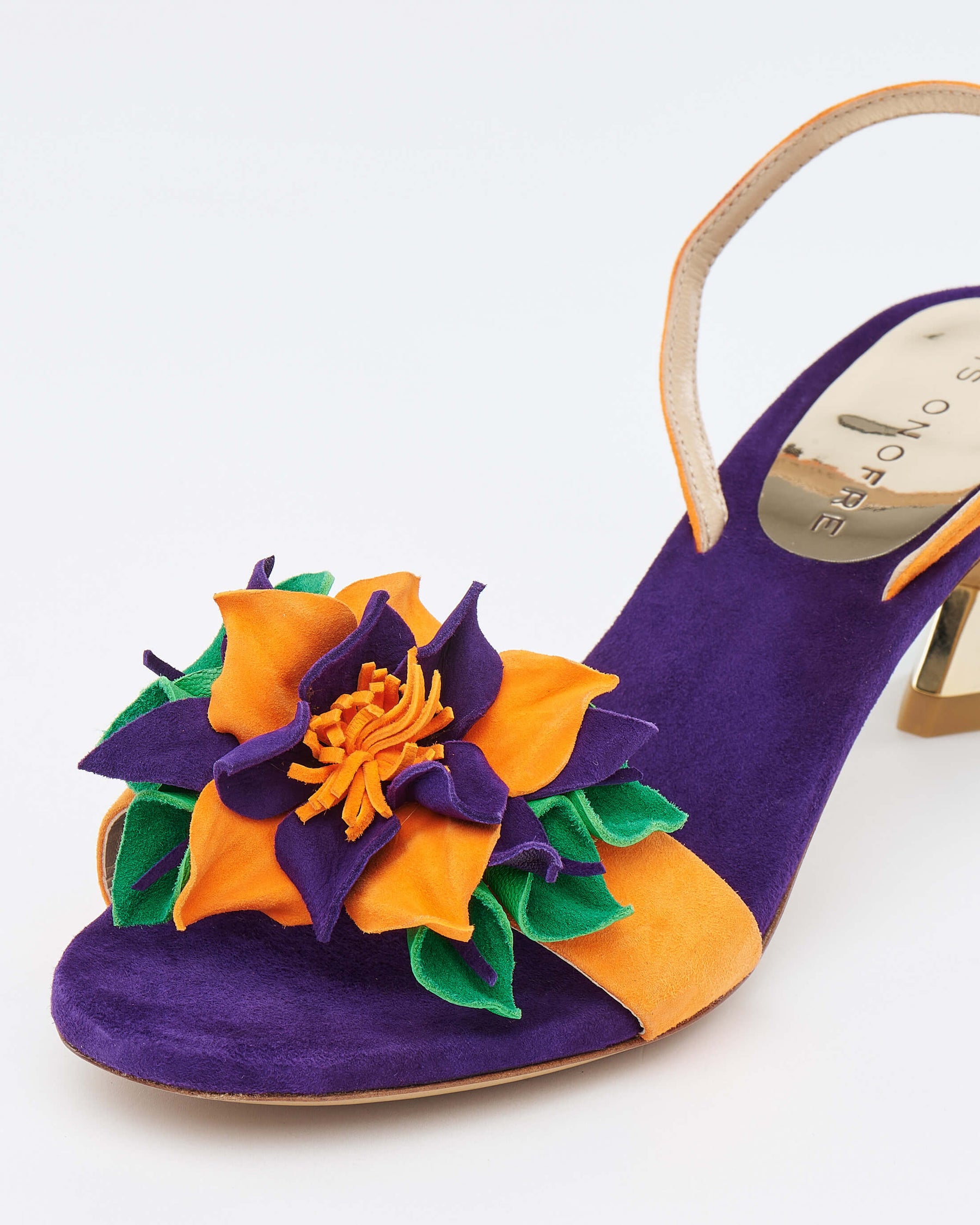 Fiorella Orange and Purple Kitten